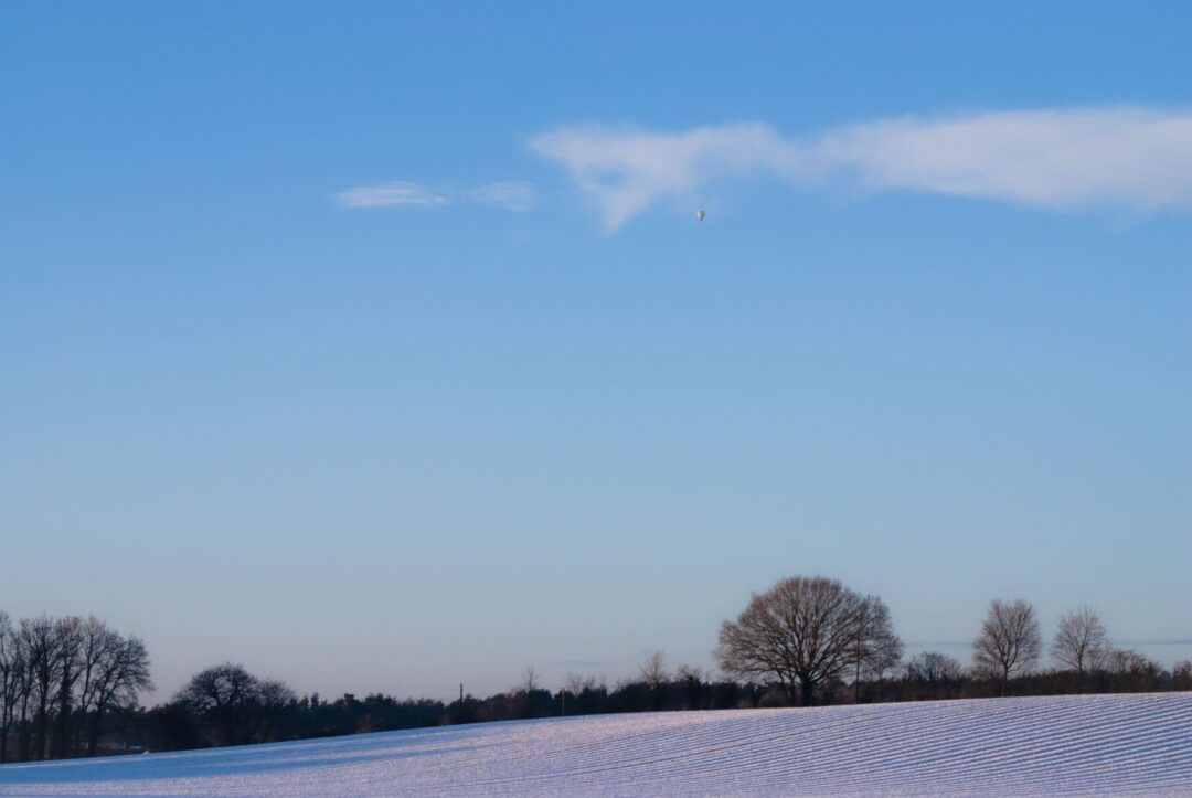 Winter's Solitude